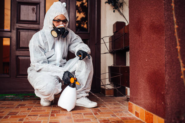 Reliable Wasp Removal contractor in Cambridge, MD by Show Me Pest Control